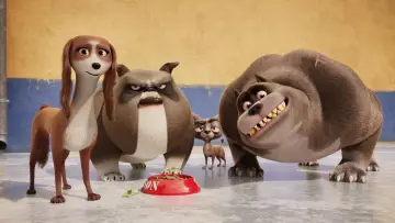 Задник к фильму "Королевский корги" #309740