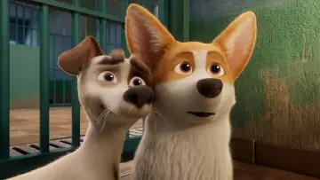 Задник к фильму "Королевский корги" #309747