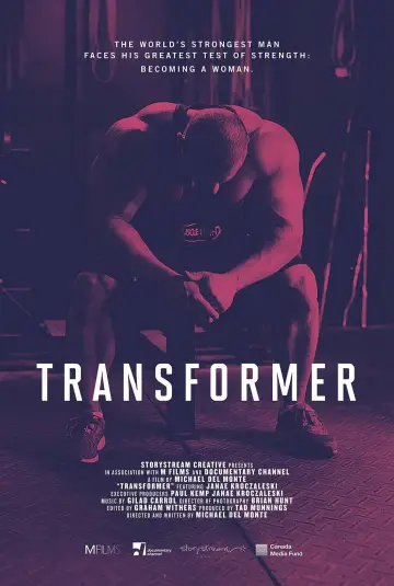 Постер к фильму "Transformer" #973224