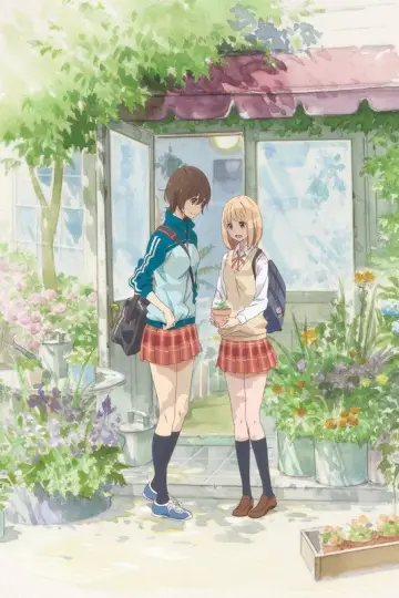 Постер к фильму "あさがおと加瀬さん。" #404168
