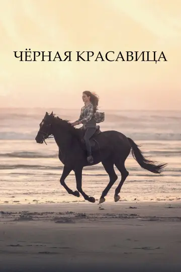 Чёрная красавица постер