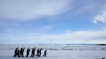 Задник к фильму "Гризли" #714661