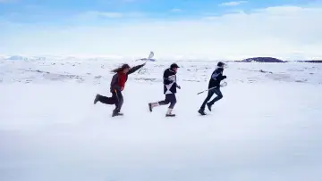 Задник к фильму "Гризли" #714664