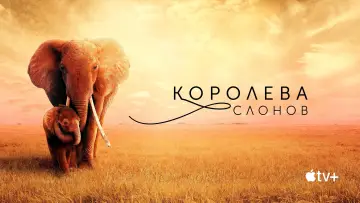 Задник к фильму "Королева слонов" #1065838