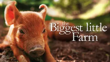 Задник к фильму "The Biggest Little Farm" #1109137