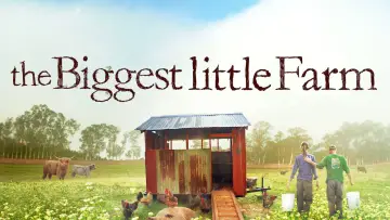 Задник к фильму "The Biggest Little Farm" #1109138