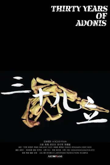 三十儿立 постер