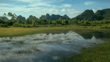 Задник к фильму "Người Bất Tử" #541333