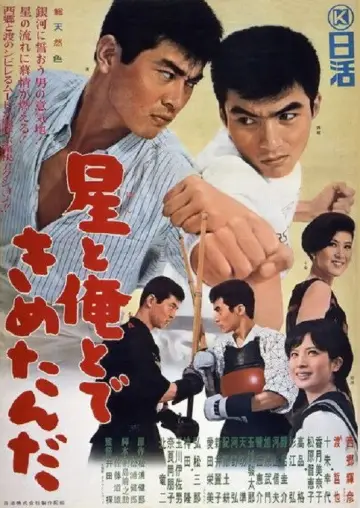 星と俺とできめたんだ постер