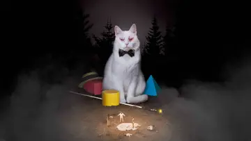 Задник к фильму "Коко-ди Коко-да" #164451