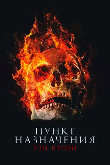 Постер к фильму "Пункт назначения: Узы крови" #548023