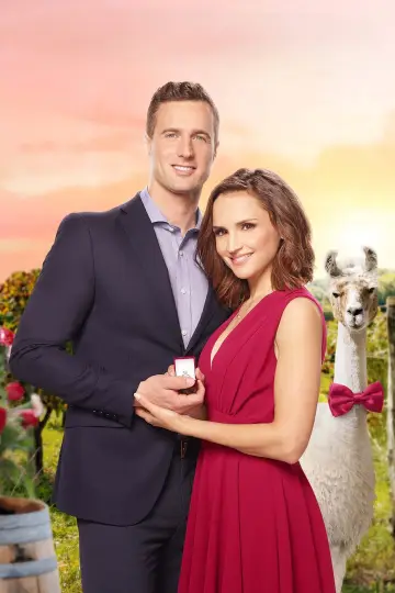 Постер к фильму "Valentine in the Vineyard" #1068479