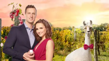 Задник к фильму "Valentine in the Vineyard" #425620
