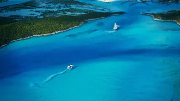 Задник к фильму "Афёра Fyre" #1041801