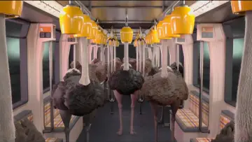 Задник к фильму "Ostrich Politic" #1174540