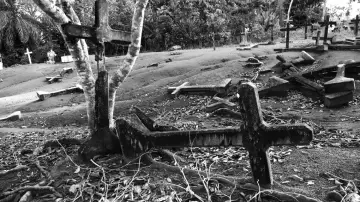 Задник к фильму "Fordlandia Malaise" #1784387