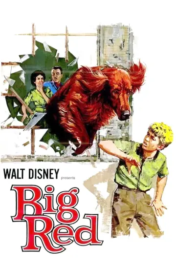 Постер к фильму "Big Red" #743550