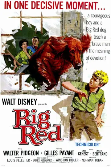 Постер к фильму "Big Red" #743551