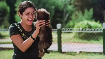 Задник к фильму "மூன்றாம் பிறை" #1158575