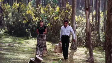 Задник к фильму "மூன்றாம் பிறை" #1158578