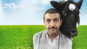 Задник к фильму "Китайская сказка" #989838