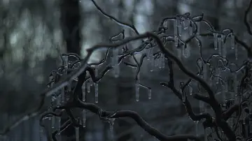 Задник к фильму "Ледяной ветер" #880501