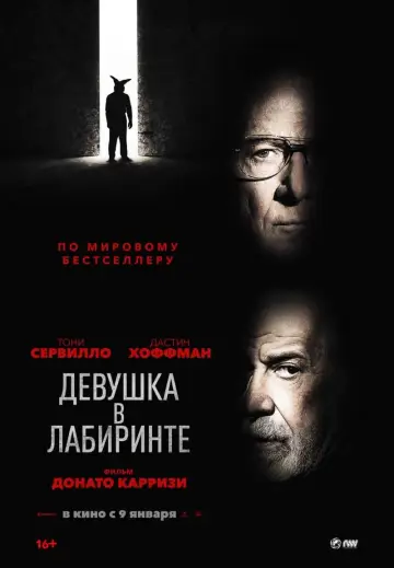 Постер к фильму "Девушка в лабиринте" #464807