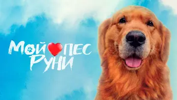 Задник к фильму "Мой пёс Руни" #1051657