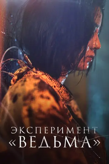 Постер к фильму "Эксперимент «Ведьма»" #372944