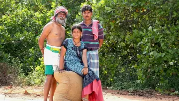 Задник к фильму "முந்திரிக்காடு" #420620