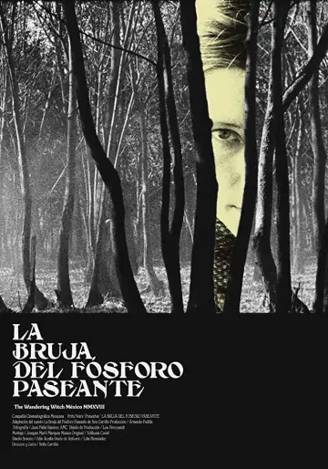 Постер к фильму "La bruja del fósforo paseante" #1156760