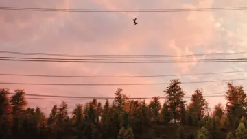 Задник к фильму "Человек-паук: Нет пути домой" #525383