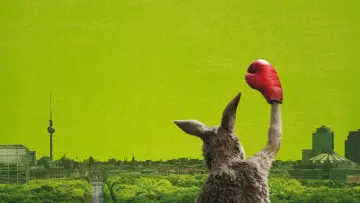 Задник к фильму "Осторожно, Кенгуру!" #420156