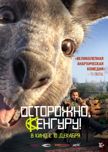 Постер к фильму "Осторожно, Кенгуру!" #420160