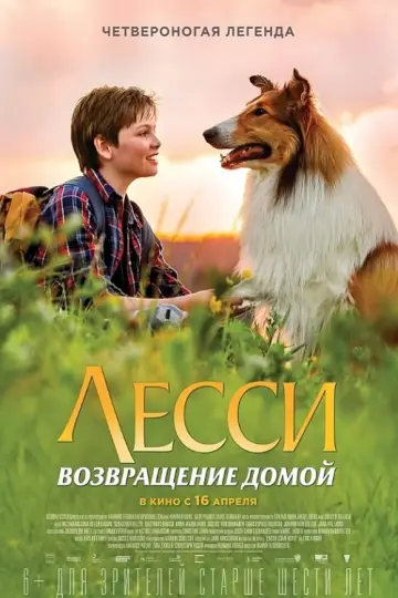 Постер к фильму "Лесси. Возвращение домой" #384727