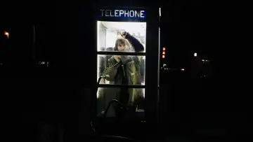 Задник к фильму "Тед К. Унабомбер" #349551