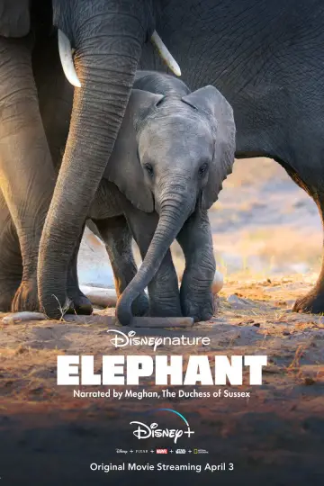 Постер к фильму "Elephant" #1078452