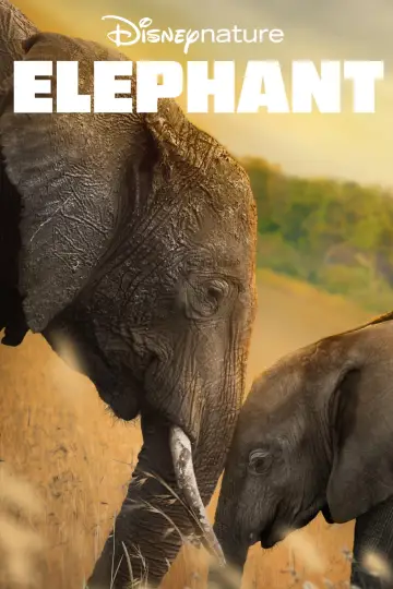 Постер к фильму "Elephant" #1078453
