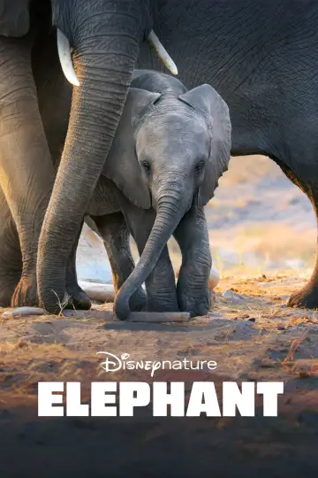 Постер к фильму "Elephant" #1078454