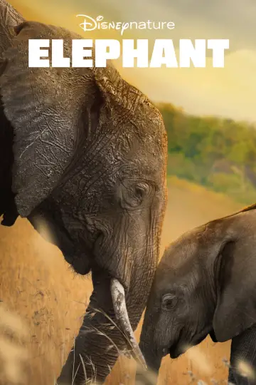 Постер к фильму "Elephant" #1078455