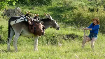 Задник к фильму "Ослик, любовник и я" #435329