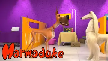 Задник к фильму "Мармадюк" #112947