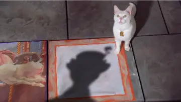 Задник к фильму "The Cat That Looked at a King" #1035554