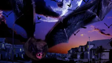 Задник к фильму "Fangs" #1140871