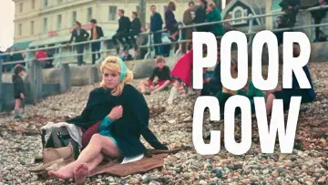 Задник к фильму "Poor Cow" #1141855