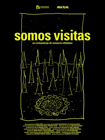 Somos visitas постер