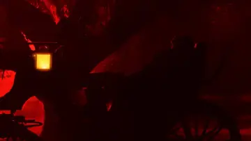 Задник к фильму "Призрак в кронах деревьев" #917919