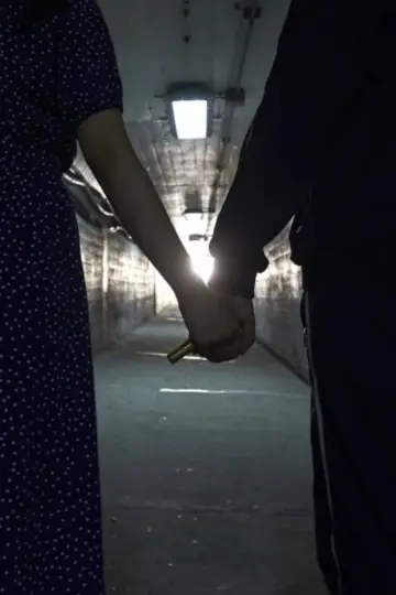 Постер к фильму "립스틱" #1150886