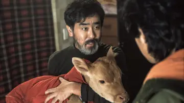 정가네 постер