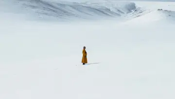 Задник к фильму "The Medicine Buddha" #403293